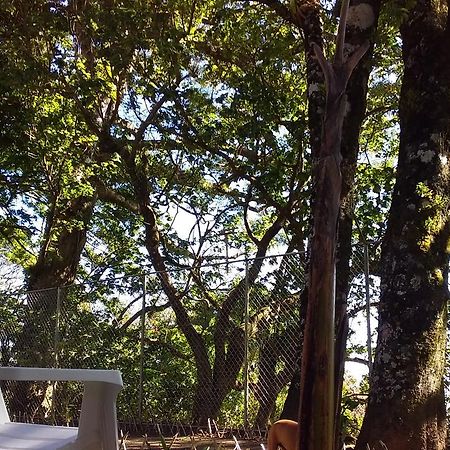 Nature House Монте-Верде Экстерьер фото
